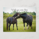 Search for two postcards Beautiful