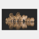 Search for big cats stickers Feline