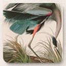 Search for bird watcher barware Animal