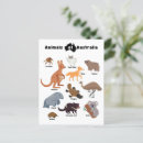 Search for wildlife postcards Kangaroo