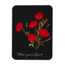 Search for carnations magnets Vintage