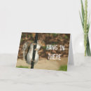 Search for squirrel picture cards Rodents