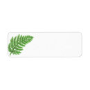 Search for fern return address labels Forest