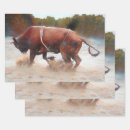 Search for bull riding crafts party Rodeo