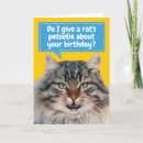 Search for maine coon cards Humour