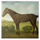 Search for hilly Horses