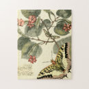 Search for insect puzzles Dragonfly