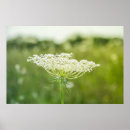 Search for 36 x 24 posters Green