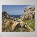 Search for sardinia posters Coast