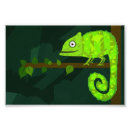 Search for cute lizard posters Chameleon