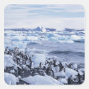 Search for adelie penguin stickers Coast