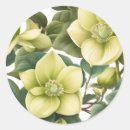 Search for hellebore stickers Floral