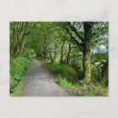 Search for forest walk postcards Footpath