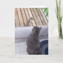 Search for bff cards Grey