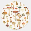 Search for vintage mushroom stickers Floral
