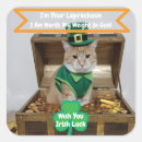 Search for st stickers Cat