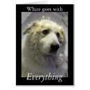 Search for great pyrenees dog postcards White
