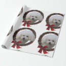 Search for bichon wrapping paper Cute