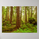 Search for tempered posters Forest