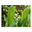 Search for lily of the valley decor Green