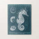 Search for seahorse puzzles Sealife