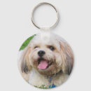 Search for cute cavalier key rings Animal