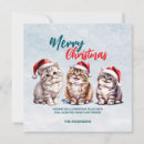 Search for kitties christmas cards Watercolor