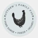 Search for chicken egg stickers Vintage