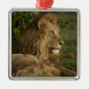 Search for mcdonalds christmas tree decorations Africa