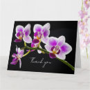 Search for white orchids cards Elegant
