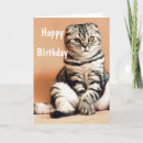 Search for funny cat birthday cards Animal