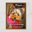 Search for yorkshire terrier christmas cards Animal