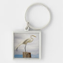 Search for florida key rings Bird