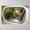 Search for car window art Puppy