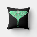 Search for lunar Moth