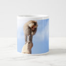 Search for baboons mugs Animals