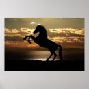Search for equine silhouette art Animal