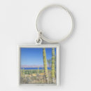 Search for mulege Cardon cactus