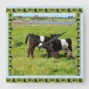 Search for black and white cow art Cows