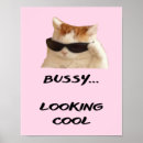 Search for pink cat posters Animals
