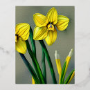 Search for narcissus December birthday