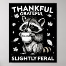 Search for funny raccoon posters Cute