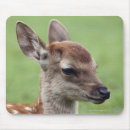 Search for prefectures mousepads Japan