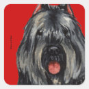 Search for flanders stickers Bouvier des flandres