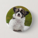 Search for chihuahua badges Puppy