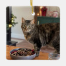 Search for tortie cat christmas tree decorations Kitty