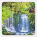 Search for rainforest stickers Birds