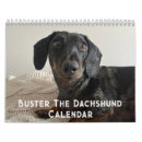 Search for buster Dog
