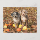 Search for attentive cards invites Brown