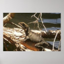 Search for eastern dragon art Dragons